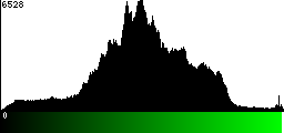 Green Histogram