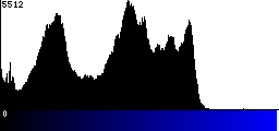Blue Histogram