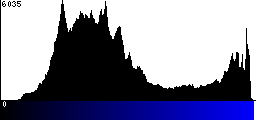 Blue Histogram