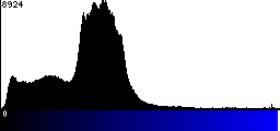 Blue Histogram