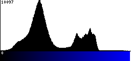 Blue Histogram