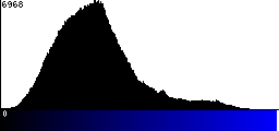 Blue Histogram