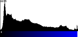 Blue Histogram