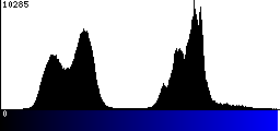 Blue Histogram
