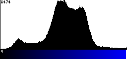 Blue Histogram