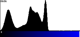 Blue Histogram
