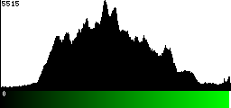 Green Histogram
