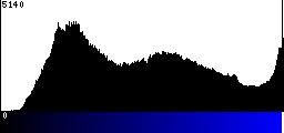 Blue Histogram