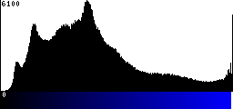 Blue Histogram