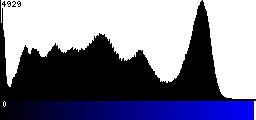 Blue Histogram