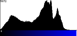 Blue Histogram