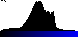 Blue Histogram