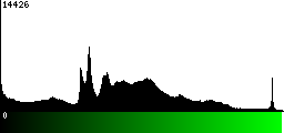 Green Histogram