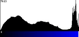 Blue Histogram