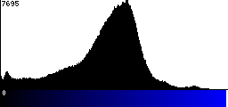 Blue Histogram
