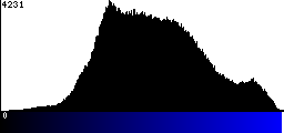 Blue Histogram