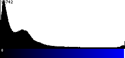 Blue Histogram