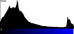 Blue Histogram
