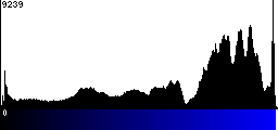 Blue Histogram