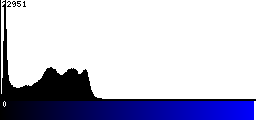 Blue Histogram