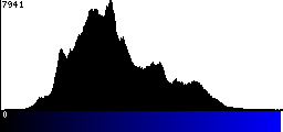 Blue Histogram