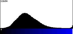 Blue Histogram