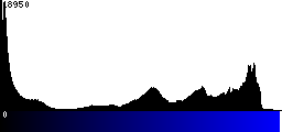 Blue Histogram