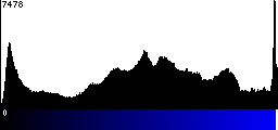Blue Histogram