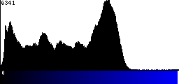 Blue Histogram
