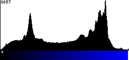 Blue Histogram