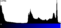 Blue Histogram