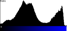 Blue Histogram