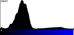 Blue Histogram