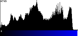 Blue Histogram