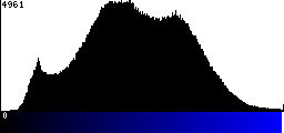 Blue Histogram