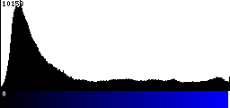 Blue Histogram