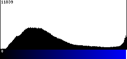 Blue Histogram
