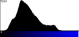 Blue Histogram