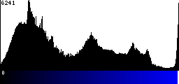 Blue Histogram