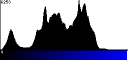 Blue Histogram