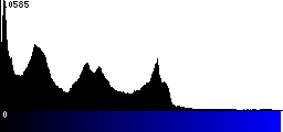 Blue Histogram