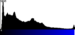 Blue Histogram