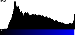 Blue Histogram