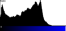 Blue Histogram