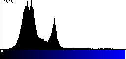 Blue Histogram