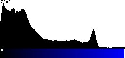 Blue Histogram