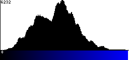 Blue Histogram