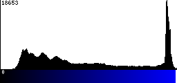 Blue Histogram