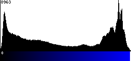 Blue Histogram