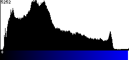 Blue Histogram